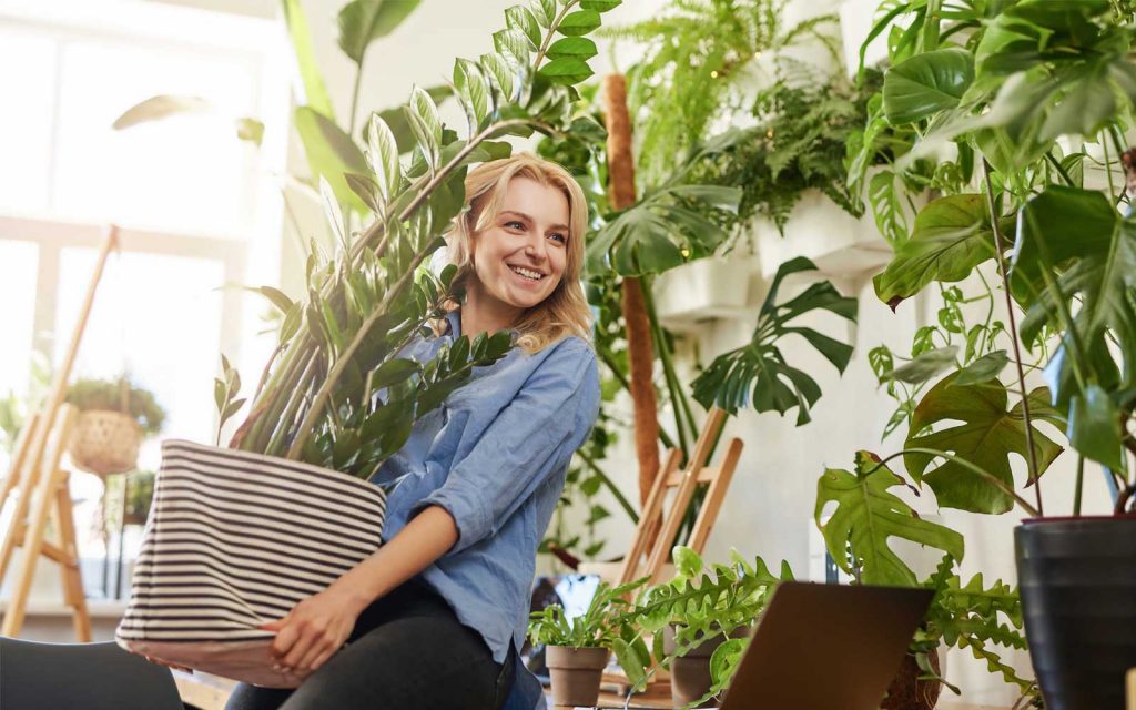 Back to Work: i benefici delle piante (e le migliori piante da ufficio)