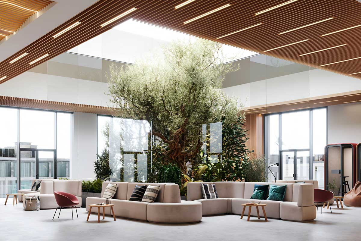 biophilic design in ufficio